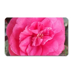 Pink Flower Japanese Tea Rose Floral Design Magnet (rectangular) by yoursparklingshop