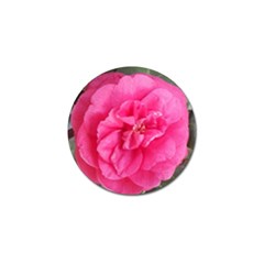 Pink Flower Japanese Tea Rose Floral Design Golf Ball Marker by yoursparklingshop