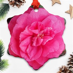 Pink Flower Japanese Tea Rose Floral Design Snowflake Ornament (two Sides) by yoursparklingshop