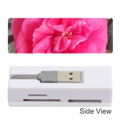 Pink Flower Japanese Tea Rose Floral Design Memory Card Reader (stick)  by yoursparklingshop