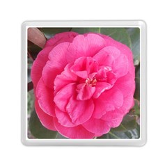 Pink Flower Japanese Tea Rose Floral Design Memory Card Reader (square)  by yoursparklingshop