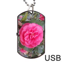 Pink Flower Japanese Tea Rose Floral Design Dog Tag Usb Flash (one Side) by yoursparklingshop