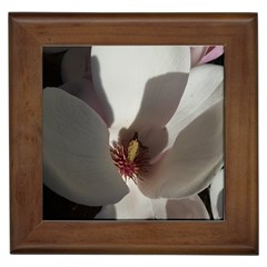 Magnolia Floral Flower Pink White Framed Tiles by yoursparklingshop