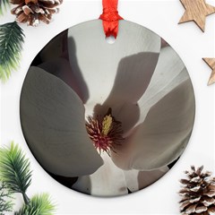 Magnolia Floral Flower Pink White Ornament (round) by yoursparklingshop