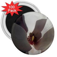 Magnolia Floral Flower Pink White 3  Magnets (100 Pack) by yoursparklingshop