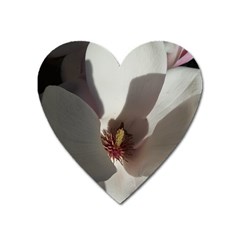 Magnolia Floral Flower Pink White Heart Magnet by yoursparklingshop