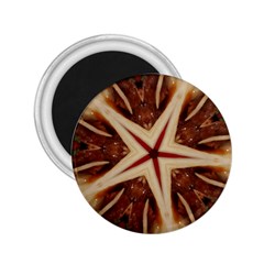 Spaghetti Italian Pasta Kaleidoscope Funny Food Star Design 2 25  Magnets by yoursparklingshop