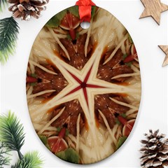 Spaghetti Italian Pasta Kaleidoscope Funny Food Star Design Oval Ornament (two Sides) by yoursparklingshop