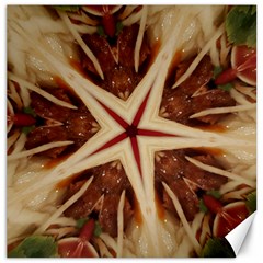 Spaghetti Italian Pasta Kaleidoscope Funny Food Star Design Canvas 12  X 12   by yoursparklingshop