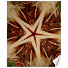 Spaghetti Italian Pasta Kaleidoscope Funny Food Star Design Canvas 16  X 20   by yoursparklingshop