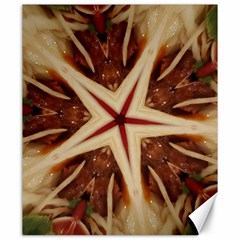 Spaghetti Italian Pasta Kaleidoscope Funny Food Star Design Canvas 20  X 24  