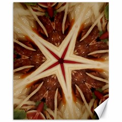 Spaghetti Italian Pasta Kaleidoscope Funny Food Star Design Canvas 11  X 14   by yoursparklingshop