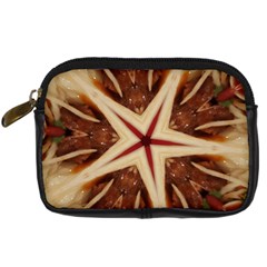 Spaghetti Italian Pasta Kaleidoscope Funny Food Star Design Digital Camera Cases by yoursparklingshop