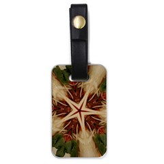 Spaghetti Italian Pasta Kaleidoscope Funny Food Star Design Luggage Tags (One Side) 