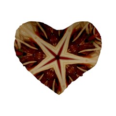 Spaghetti Italian Pasta Kaleidoscope Funny Food Star Design Standard 16  Premium Heart Shape Cushions by yoursparklingshop