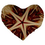 Spaghetti Italian Pasta Kaleidoscope Funny Food Star Design Large 19  Premium Flano Heart Shape Cushions Front