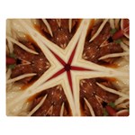 Spaghetti Italian Pasta Kaleidoscope Funny Food Star Design Double Sided Flano Blanket (Large)  80 x60  Blanket Front