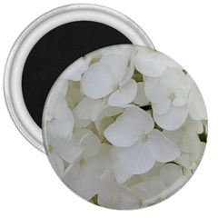 Hydrangea Flowers Blossom White Floral Elegant Bridal Chic 3  Magnets by yoursparklingshop