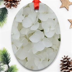 Hydrangea Flowers Blossom White Floral Elegant Bridal Chic Ornament (Oval)