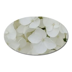 Hydrangea Flowers Blossom White Floral Elegant Bridal Chic Oval Magnet by yoursparklingshop