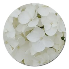 Hydrangea Flowers Blossom White Floral Elegant Bridal Chic Magnet 5  (round) by yoursparklingshop