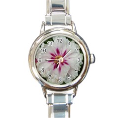 Floral Soft Pink Flower Photography Peony Rose Round Italian Charm Watch