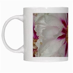 Floral Soft Pink Flower Photography Peony Rose White Mugs