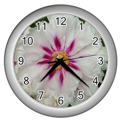 Floral Soft Pink Flower Photography Peony Rose Wall Clocks (silver) 