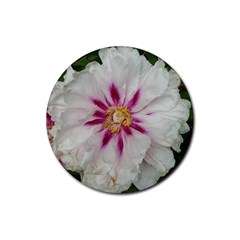 Floral Soft Pink Flower Photography Peony Rose Rubber Round Coaster (4 Pack) 