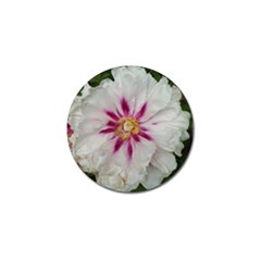 Floral Soft Pink Flower Photography Peony Rose Golf Ball Marker