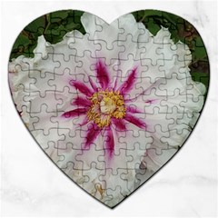 Floral Soft Pink Flower Photography Peony Rose Jigsaw Puzzle (Heart)