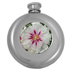 Floral Soft Pink Flower Photography Peony Rose Round Hip Flask (5 Oz)