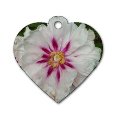 Floral Soft Pink Flower Photography Peony Rose Dog Tag Heart (one Side)