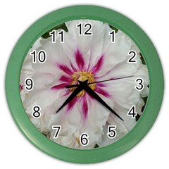 Floral Soft Pink Flower Photography Peony Rose Color Wall Clocks