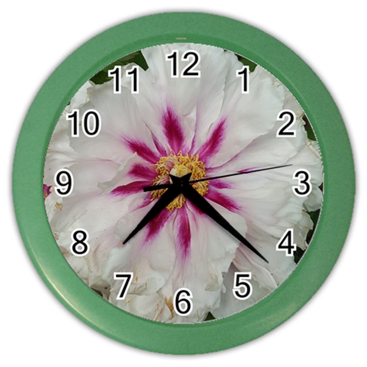 Floral Soft Pink Flower Photography Peony Rose Color Wall Clocks