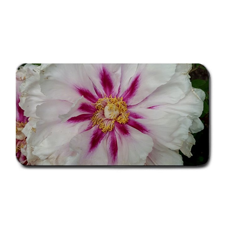 Floral Soft Pink Flower Photography Peony Rose Medium Bar Mats