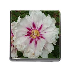 Floral Soft Pink Flower Photography Peony Rose Memory Card Reader (square)