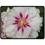 Floral Soft Pink Flower Photography Peony Rose Fleece Blanket (Large)  80 x60  Blanket Front