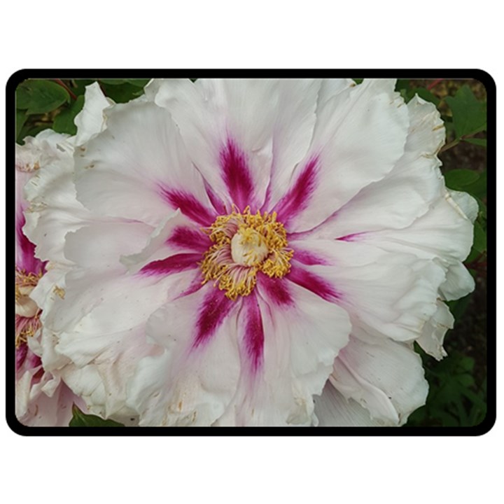 Floral Soft Pink Flower Photography Peony Rose Fleece Blanket (Large) 