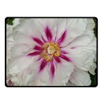 Floral Soft Pink Flower Photography Peony Rose Fleece Blanket (Small) 50 x40  Blanket Front