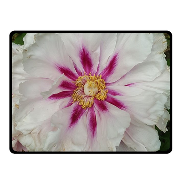 Floral Soft Pink Flower Photography Peony Rose Fleece Blanket (Small)