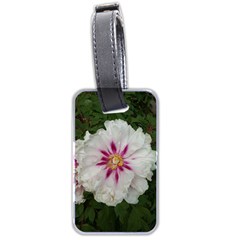 Floral Soft Pink Flower Photography Peony Rose Luggage Tags (Two Sides)