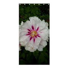 Floral Soft Pink Flower Photography Peony Rose Shower Curtain 36  X 72  (stall) 