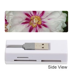 Floral Soft Pink Flower Photography Peony Rose Memory Card Reader (stick) 