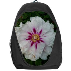 Floral Soft Pink Flower Photography Peony Rose Backpack Bag