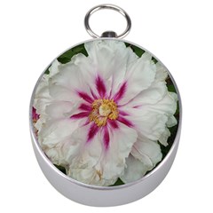 Floral Soft Pink Flower Photography Peony Rose Silver Compasses by yoursparklingshop