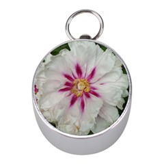 Floral Soft Pink Flower Photography Peony Rose Mini Silver Compasses