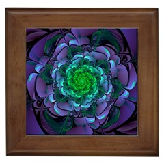 Beautiful Purple & Green Aeonium Arboreum Zwartkop Framed Tiles by jayaprime