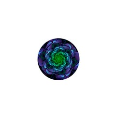 Beautiful Purple & Green Aeonium Arboreum Zwartkop 1  Mini Magnets