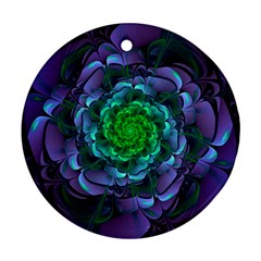 Beautiful Purple & Green Aeonium Arboreum Zwartkop Ornament (round) by jayaprime